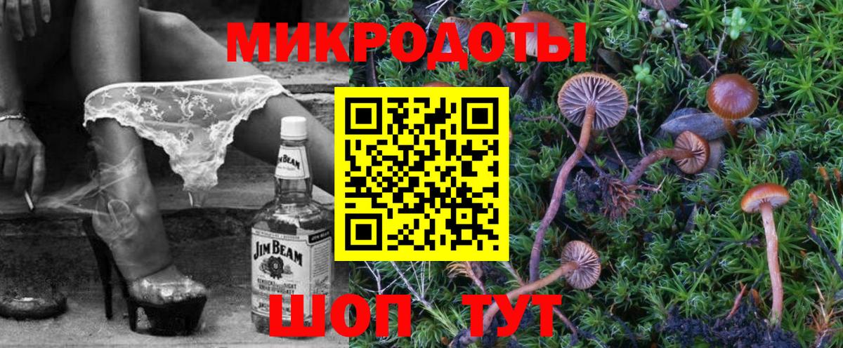 Псилоцибиновые грибы MAGIC MUSHROOMS  Вход с VPN  Новошахтинск 